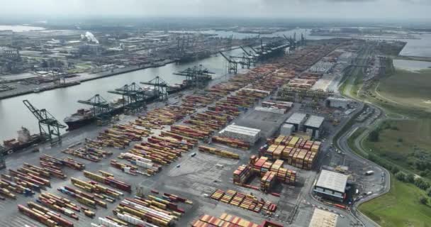 Antwerp 12Th August 2023 Belgium Aerial Drone View Msc Psa — Stock Video