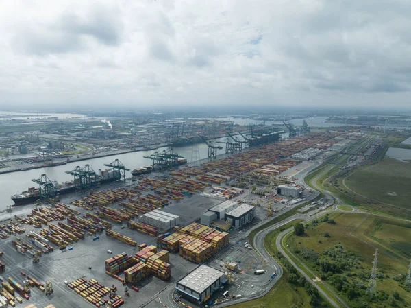 安特卫普 2023年8月12日 比利时安特卫普港口集装箱码头的自上而下的视图 港口业务 — 图库照片
