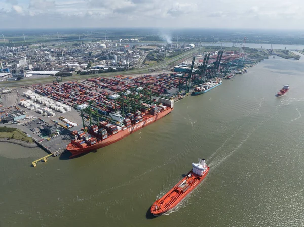 Antwerpen Augustus 2023 België Containervrachtschepen Aangemeerd Bij Noordzee Terminal Voor — Stockfoto