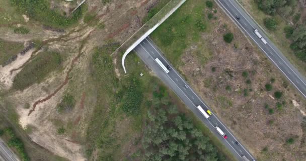 Wildlife Bridge Animal Crossing Ecoduct Netherlands Highway Aerial Drone View — Stock Video