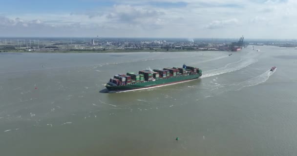 Антверпен Августа 2023 Года Бельгия Контейнерный Корабль Гавани Антверпена Замеченный — стоковое видео