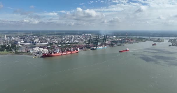 Anversa Agosto 2023 Belgio Navi Portacontainer Attraccate Terminal Noordzee Carico — Video Stock