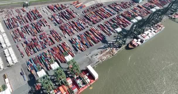 Antwerp Ağustos 2023 Belçika Deniz Operasyonlarının Dinamik Dünyasını Noordzee Terminali — Stok video