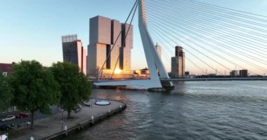Rotterdam 'daki Erasmusbrug' un hava aracı görüntüsü, Rotterdam 'daki Nieuwe Maas nehri üzerindeki köprü..