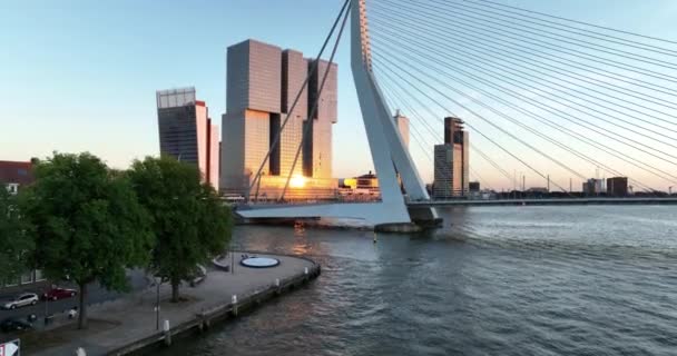 Vedere Drone Aeriene Erasmus Din Rotterdam Pod Peste Râul Nieuwe — Videoclip de stoc