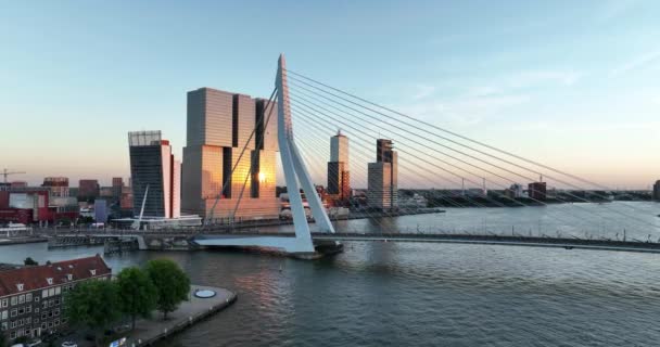 Rotterdam Hollanda Daki Erasmus Köprüsü Nün Insansız Hava Aracı Görüntüsü — Stok video