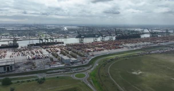 Vista Aérea Del Dron Gran Terminal Contenedores Puerto Amberes Bélgica — Vídeos de Stock
