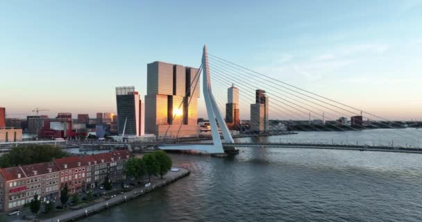 Ikonische Nahaufnahme Der Erasmusbrücke Rotterdam Bei Sonnenuntergang Transport Über Die — Stockvideo