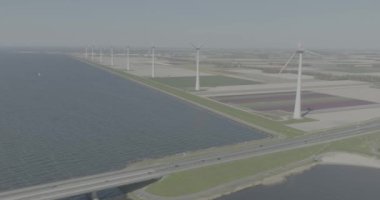 D günlük renk profili, Hollanda 'daki renkli lale tarlalarının yanındaki kıyı şeridi boyunca rüzgar türbinlerinin hava aracı görüntüsü. Sürdürülebilir enerji üretimi. Hollanda temiz enerji üretimi.