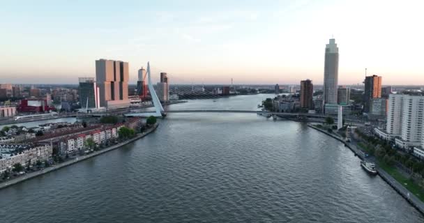 ロッテルダムのスカイラインの空中ドローンビューは 市内の象徴的な建物やランドマークを展示しています ロッテルダムシティスケープ — ストック動画