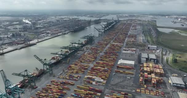 コンテナポートロジスティクス 世界中の商品の大規模な輸送 ベルギーのアントワープ港の輸送業界 ヨーロッパ最大の港の1つ エアリアル — ストック動画