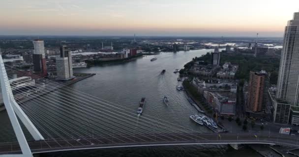 Αεροφωτογραφία Drone Του Ορίζοντα Του Ρότερνταμ Προβάλλοντας Εμβληματικά Κτίρια Και — Αρχείο Βίντεο