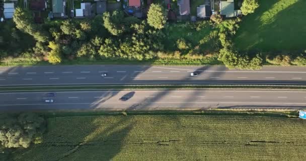 Alman Otobanı Üzerindeki Havadan Aşağı Görüş Almanya Ulaşım Hareketlilik Trafik — Stok video