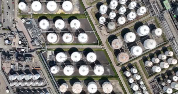 Top Aerial View Petrochemical Installations Port Petrochemical Harbor Pipelines Oil — Stock Video