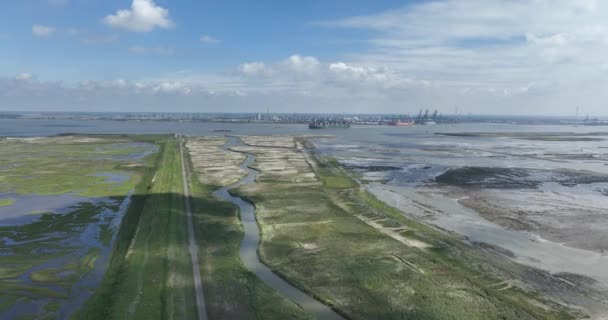 Widok Samolotu Port Kontenerowy Antwerpii Belgia Statek Kontenerowy Odpływa Oddali — Wideo stockowe