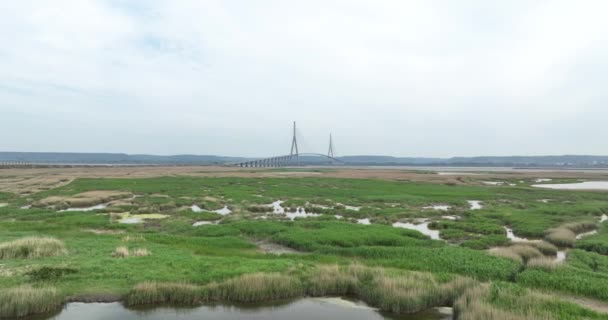Widok Lotu Ptaka Pont Normandy Most Wiszący Hawr Francja — Wideo stockowe