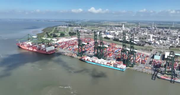 12Th August 2023 Antwerpen Belgium Psa Antwerp Noordzee Terminal Container — Stock Video