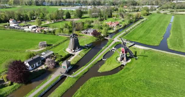 Historische Windmühlen Holland Niederlande Drohnenblick Aus Der Luft — Stockvideo