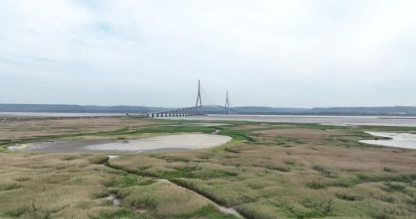诺曼底桥 Pont Normandie 是法国的一座斜拉桥 该桥横跨塞纳河河口的勒阿弗尔 是A29的一个连接点 空中无人驾驶飞机视图 — 图库视频影像