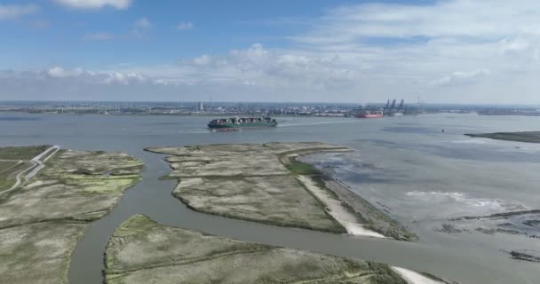 空中无人侦察机看到一艘大型集装箱船起航在谢尔德河上的海面上 前方是一片青草的自然景观 比利时安特卫普 — 图库视频影像