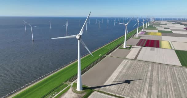Lale Manzarasında Sürdürülebilir Büyük Rüzgar Türbinlerinin Hava Aracı Görüntüsü Hollanda — Stok video