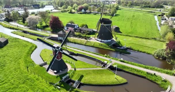 Αεροφωτογραφία Ενός Ιστορικού Ανεμόμυλου Στην Ολλανδική Ύπαιθρο Επίκεντρο Την Ολλανδική — Αρχείο Βίντεο