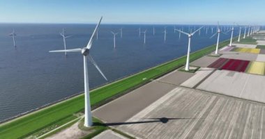 Hollanda 'da denizdeki yel değirmeni türbinlerinin hava aracı görüntüsü baharda arka planda yeşil enerji üreten lale tarlaları..