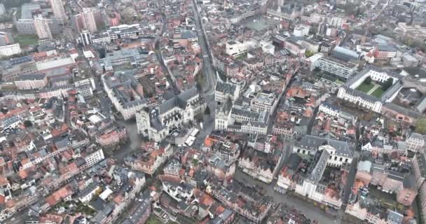 Вид Воздуха Здание Мэрии Лёвене Бельгия Воздушный Беспилотник — стоковое видео