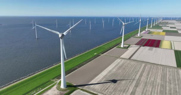 チューリップと水の風景で大きな持続可能な風力タービンの空中ドローンビュー オランダ — ストック動画