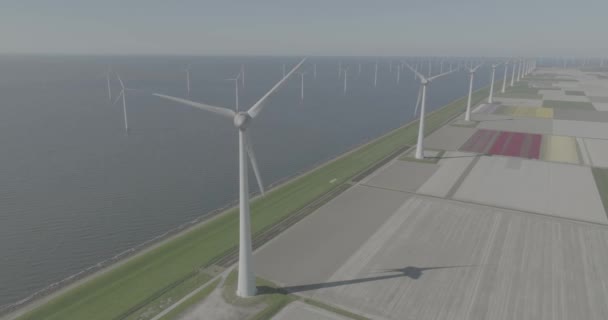 Drohnenaufnahme Großer Nachhaltiger Windkraftanlagen Einer Tulpen Und Wasserlandschaft Die Niederlande — Stockvideo