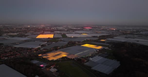 Glasshouses Greenhouses Netherlands Growing Vegetables Plants Greenhouse Industry Agriculture Dusk — Stock Video
