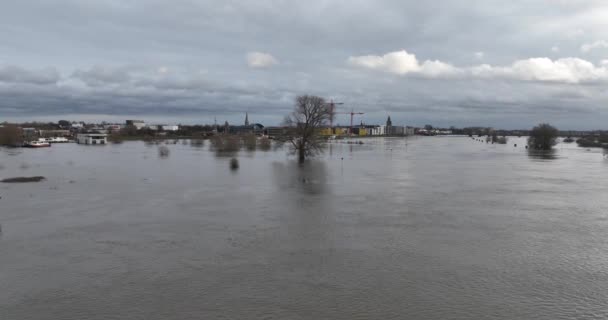 伊瑟尔河泛滥的空中景观 气候变化 暴雨和过度用水 Zutphen和Deventer之间 — 图库视频影像