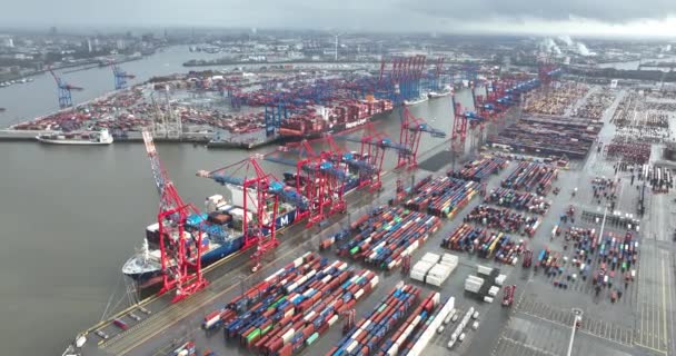 ハンブルク ドイツ 12月30日 2023 ハンブルクのコンテナターミナル 船上の容器の貨物のローディングそして荷を下すこと グローバル物流 — ストック動画