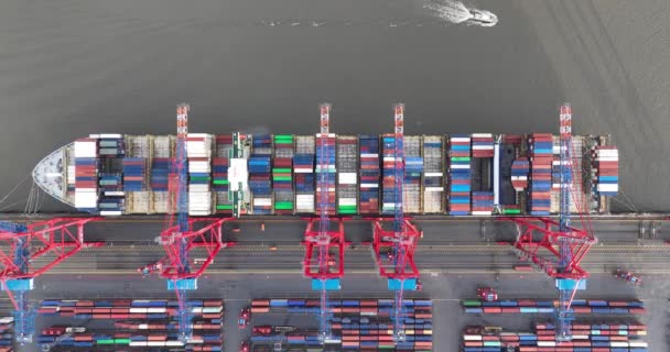 Aerial Top Drone View Large Container Ship Loaded Unloaded Logistics — Stock Video