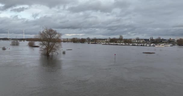 Floods Water Overflowing River Banks Setting Trees Water Aerial Drone — Stock Video