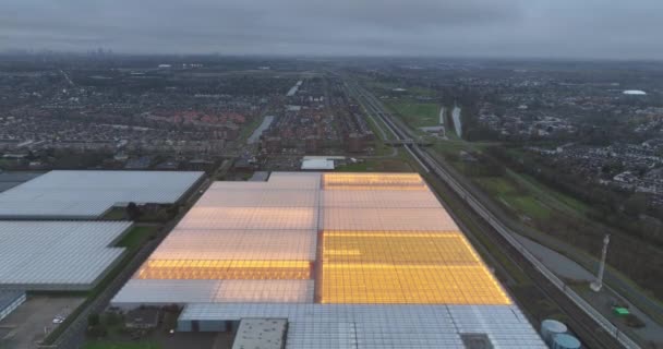 Szklarnie Holandii Uprawy Żywności Warzyw Roślin Widok Drona Powietrza — Wideo stockowe