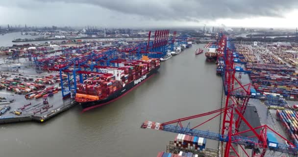 Hamburg Jerman Desember 2023 Kontainer Terminal Burchardkai Penanganan Kontainer Pelabuhan — Stok Video