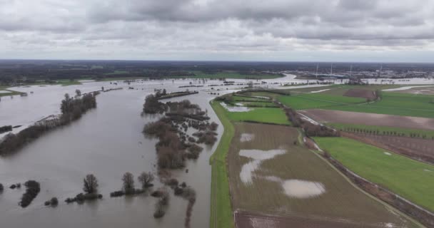 Наводнения Нидерландах Высокий Уровень Воды Высокая Вода Река Переполнена Водой — стоковое видео
