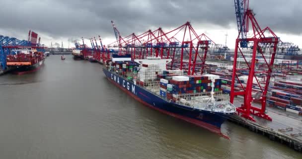 Hamburg Almanya Aralık 2023 Burchardkai Konteynır Terminali Gemiler Yükleniyor Boşaltılıyor — Stok video