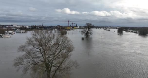 Πλημμύρες Στην Ολλανδία Υψηλή Στάθμη Υδάτων Ψηλά Νερά Ποτάμι Ξεχειλίζει — Αρχείο Βίντεο