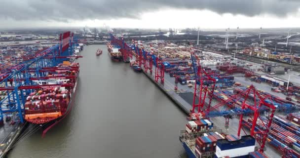 Hamburg Tyskland December 2023 Hantering Containercontainerterminaler Hamburgs Hamn — Stockvideo