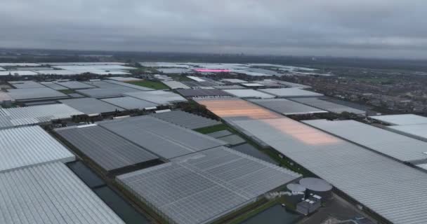 Trädgårdsodling Växthus Skymningen Nederländerna Flygdrönare — Stockvideo
