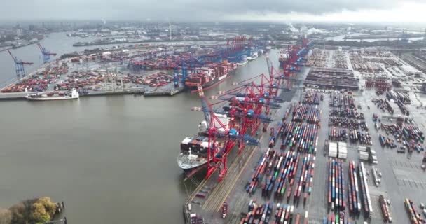 Hamburgo Alemanha Dezembro 2023 Porto Recipiente Hamburgo Operações Portuárias Guindastes — Vídeo de Stock