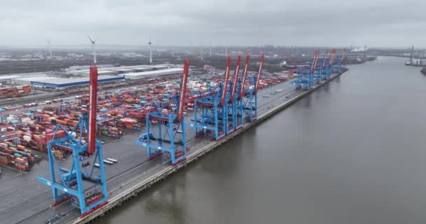 Hamburg Germany December 30Th 2023 Altenwerder Container Terminal Loading Unloading — Stock Video