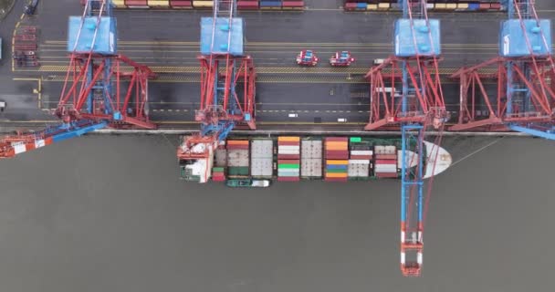 Πάνω Κάτω Εναέρια Άποψη Drone Ένα Πλοίο Εμπορευματοκιβωτίων Φόρτωση Και — Αρχείο Βίντεο