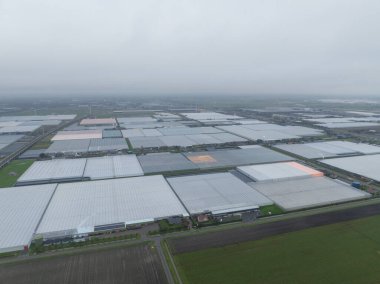 Bahçecilik, Hollanda 'da alacakaranlıkta seralar. Hava aracı görünümü.