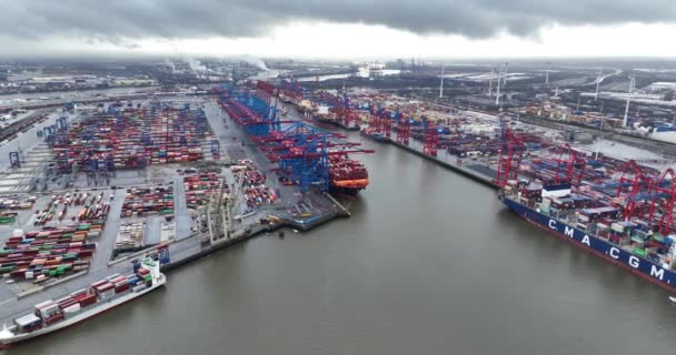 ハンブルク ドイツ 12月30日 2023 ハンブルクのコンテナターミナル Cma Cgm船がハンブルク港に積載されている 配送ロジスティクス — ストック動画