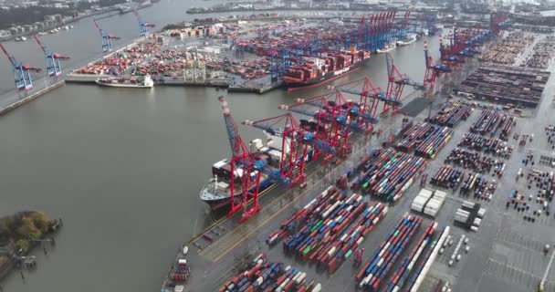 Hamburg Niemcy Grudnia 2023 Globalna Logistyka Porcie Hamburgu — Wideo stockowe