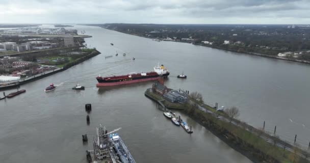 2023年12月30日 德国汉堡 位于汉堡港的Kohlfleet Hafen Pilothouse Seemannshoft和散装货船正在运营 — 图库视频影像