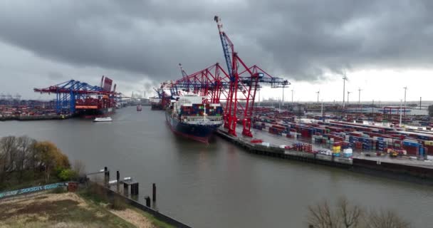 Hamburg Almanya Aralık 2023 Burchardkai Konteynır Terminali Gemiler Yükleniyor Boşaltılıyor — Stok video